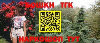 шишки Гусь-Хрустальный