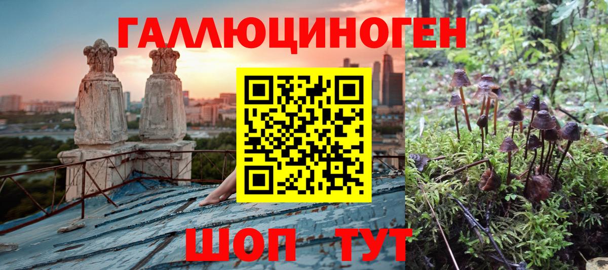 купить  цена  Вход с VPN  Миллерово  Псилоцибиновые грибы MAGIC MUSHROOMS 