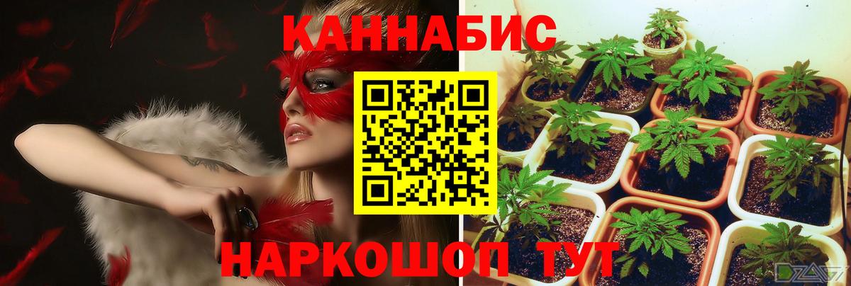 Шишки марихуана Bruce Banner  МАРИХУАНА Amnesia  Вход с VPN  Миллерово  МАРИХУАНА SATIVA & INDICA 